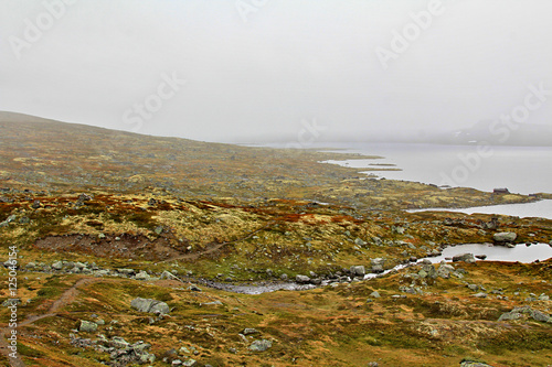 Norwegian nature late fall away from major cities photo