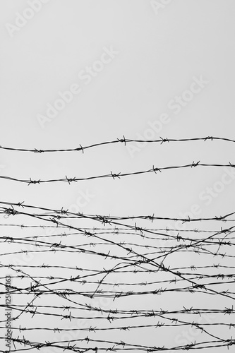 Fencing. Fence with barbed wire. Let. Jail. Thorns. Block. A prisoner. Holocaust. Concentration camp. Prisoners. Depressive background.