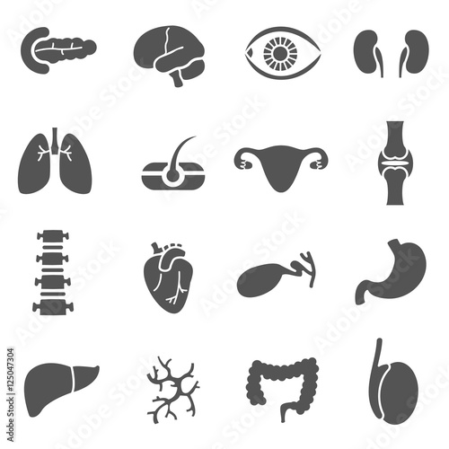 anatomical organs, icons set. human organs, simple symbols collection. isolated vector monochrome illustration.
