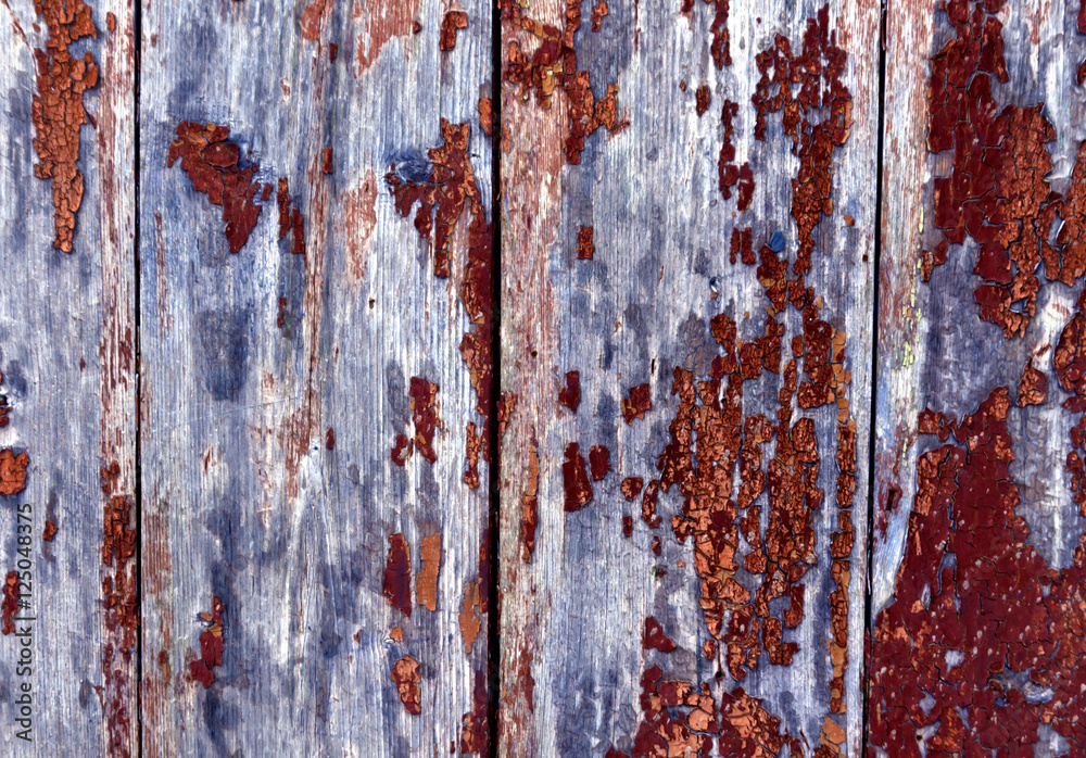 Fototapeta premium Weathred blue wooden planks.