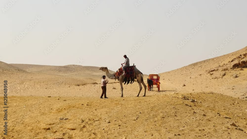 Guide Hands Tourist on a Camel Water in the Desert- Giza, Egypt Guide Hands Tourist on a Camel Water in the Desert- Giza, Egypt