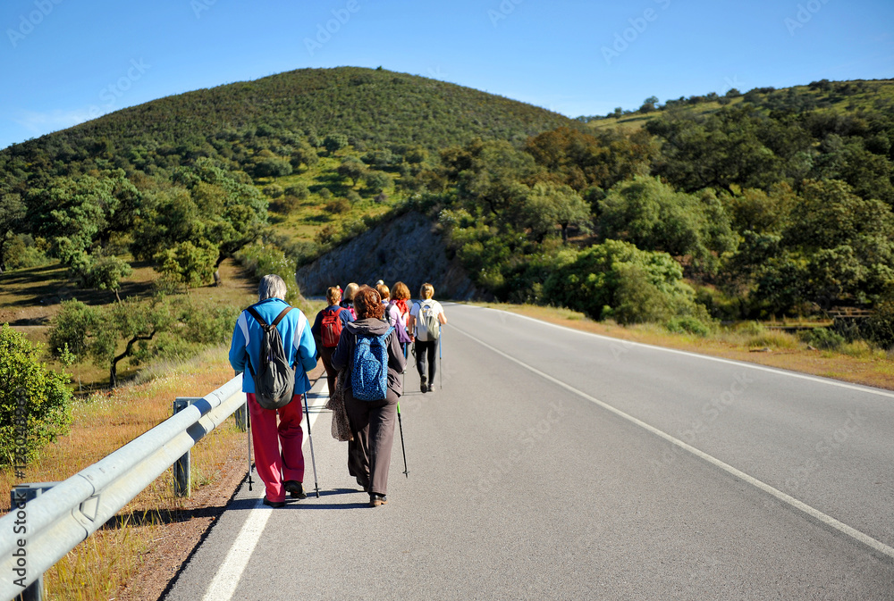 Walking down the road, reckless endangerment Walking down the road, reckless endangerment
