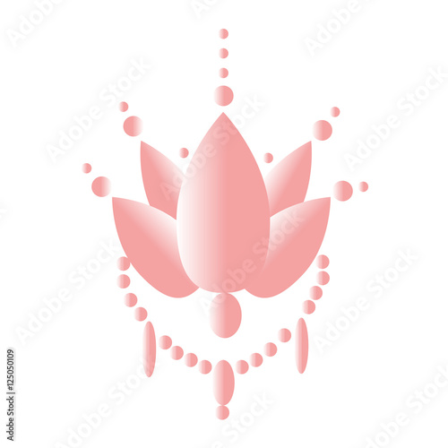 Vector illustration of a pink lotus flower, fiore di loto vettoriale