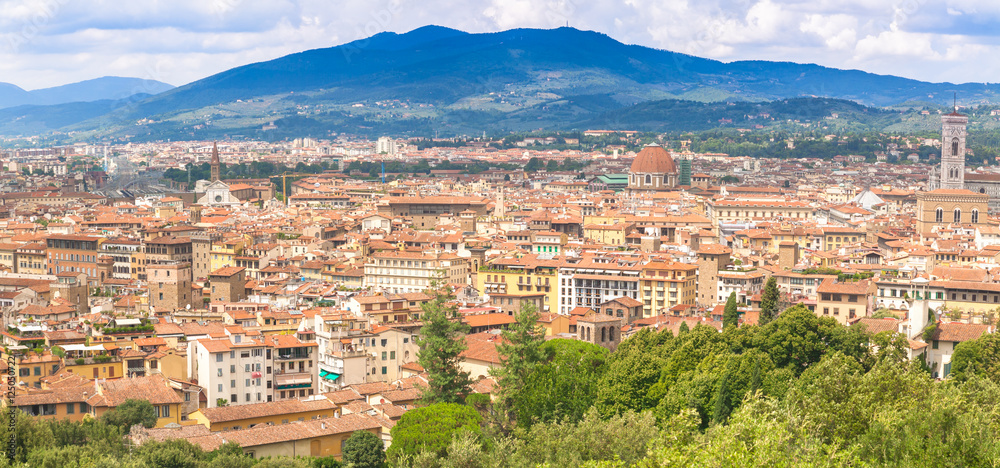 The panorama of Florence 