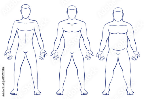 Body types - ectomorph, mesomorph and endomorph.