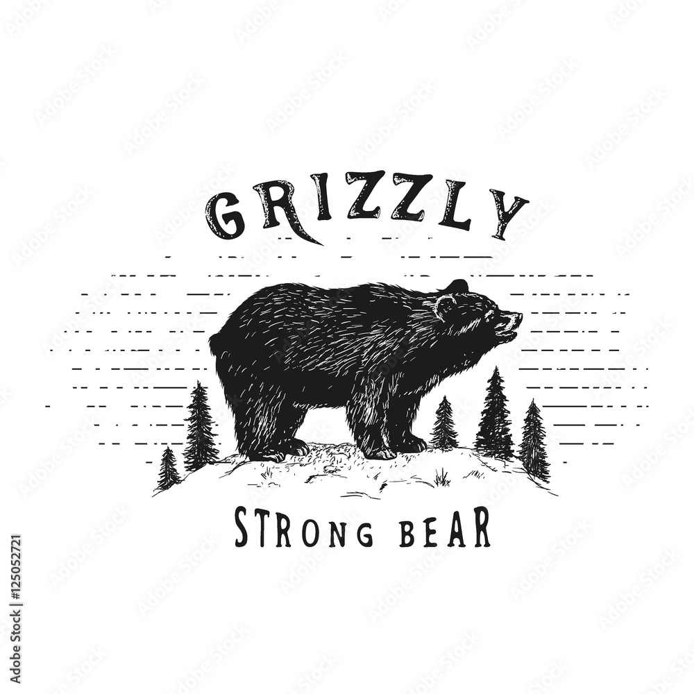Obraz premium Strong bear in forest
