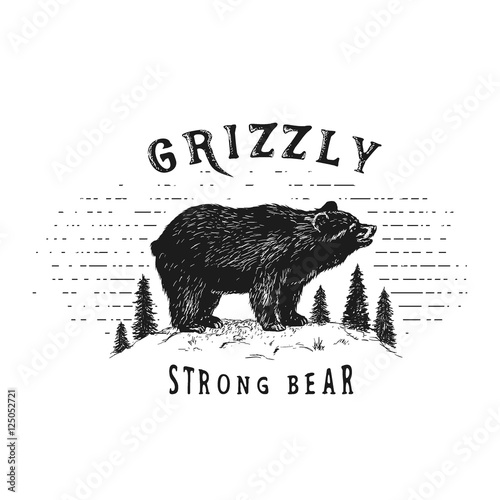 Strong bear in forest