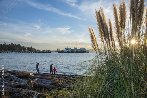 West Seattle Views