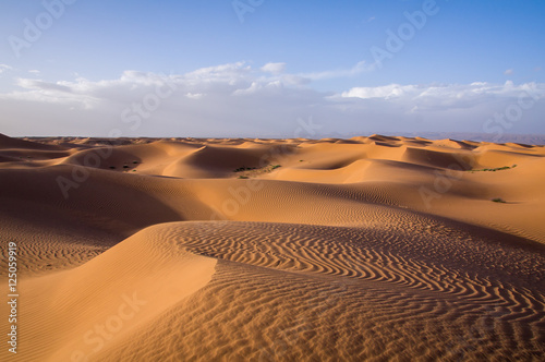 Peaceful dunes Fototapeta