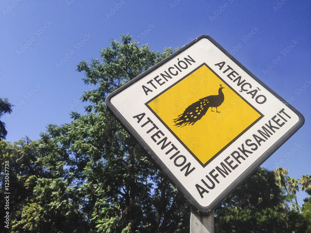 Warning peacock traffic sign written on four languages