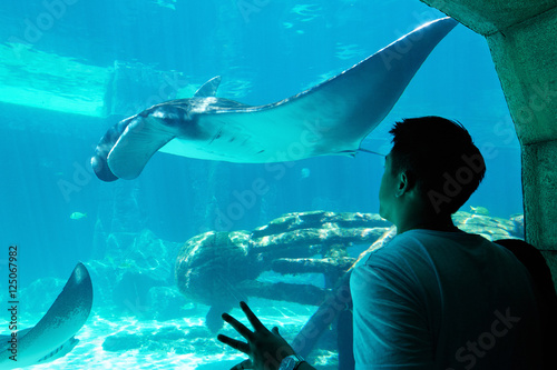 man visit aquarium