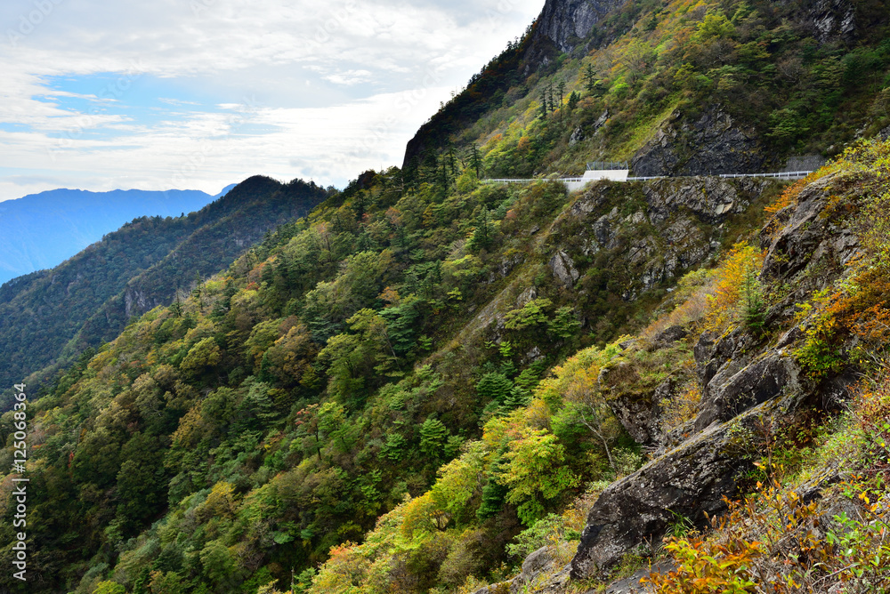 瓶ヶ森林道西黒森付近から見た石鎚山方面の風景(2016年10月)