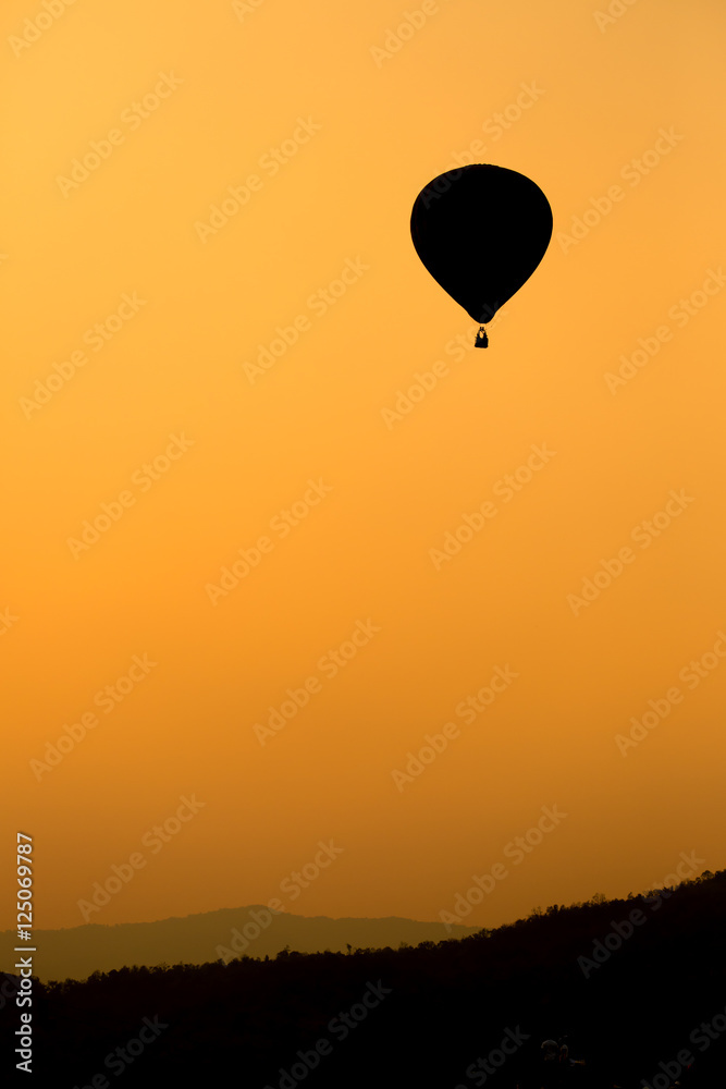 Fototapeta premium Hot air balloon
