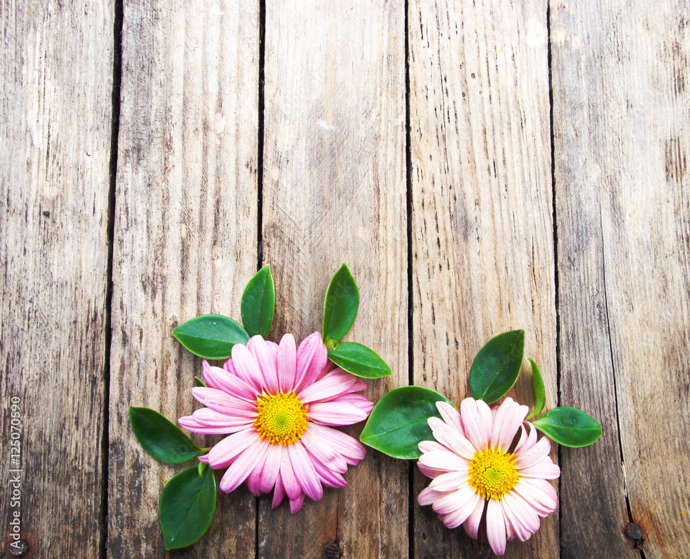 Obraz premium Bright colorful flowers on wooden texture.