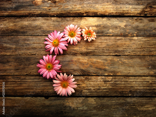 Bright colorful flowers on wooden texture.