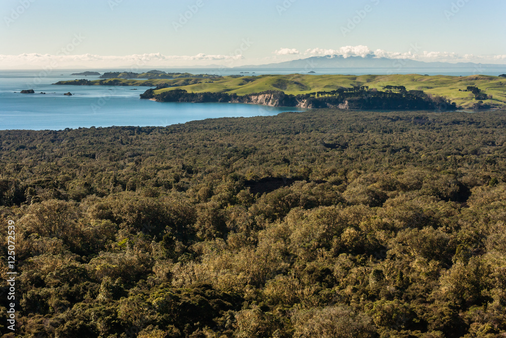 New Zealand coastline with tropical rainforest