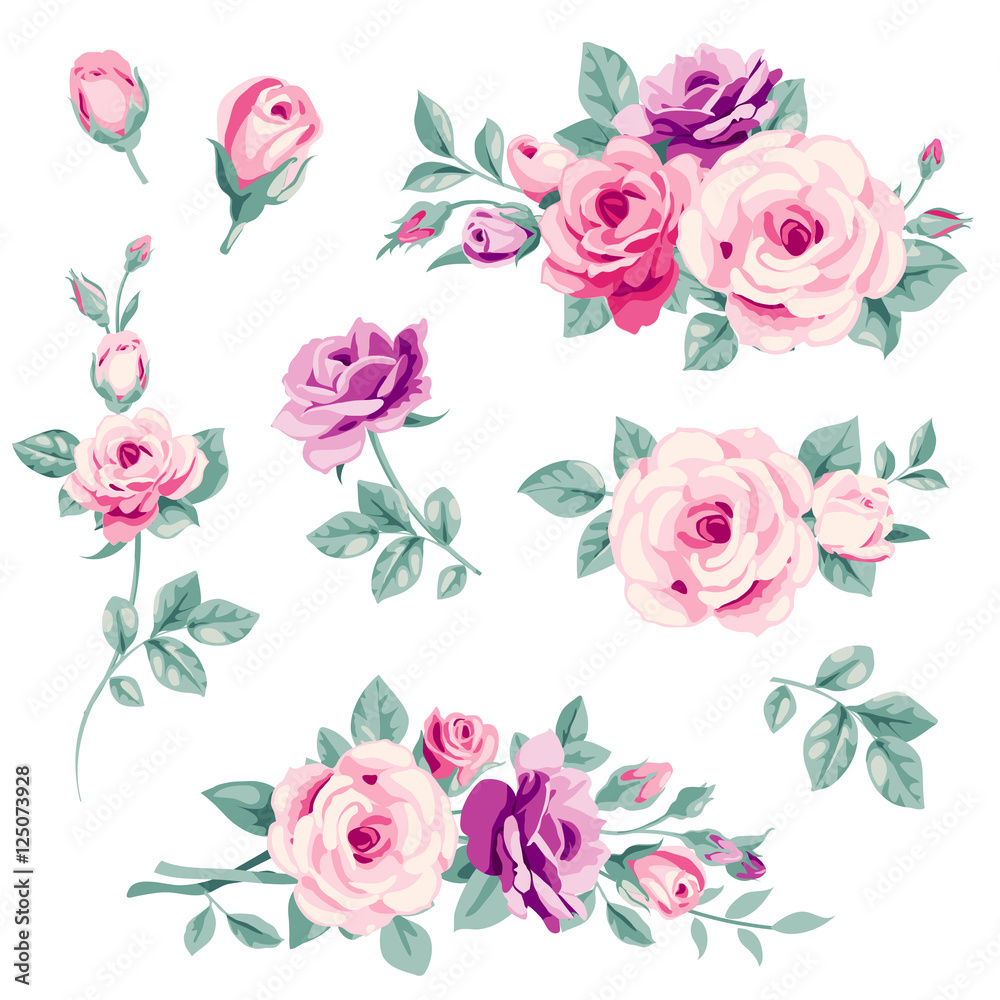 Set of pink decorative roses. Vector flowers and buds