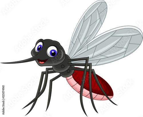 cute mosquito cartoon photo