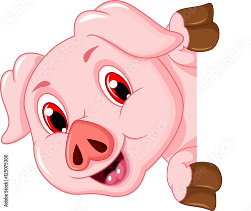 funny pig cartoon holding blank sign