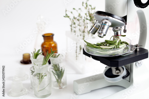 analysis of food pesticides check rosemary in laboratory