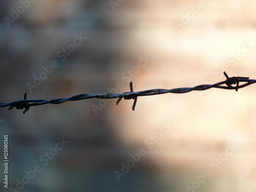 Barb wire