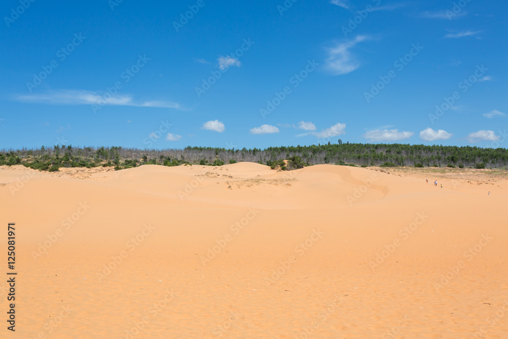red sand dune desert in Mui Ne, Vietnam red sand dune desert in Mui Ne, Vietnam