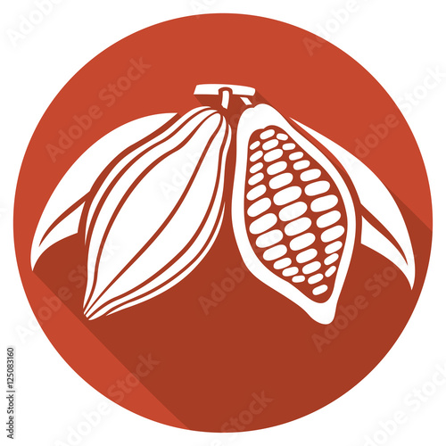cocoa beans flat icon