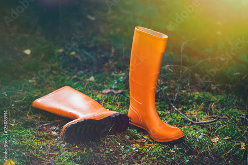 Orange rubber boots in the forest photo