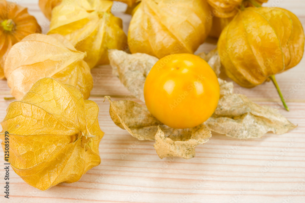 Physalis - Andenbeere - Kapstachelbeere 