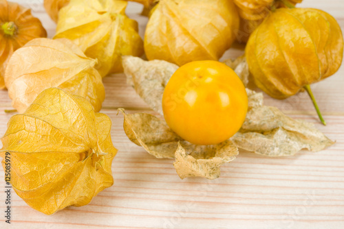 Fotografía Physalis - Andenbeere - Kapstachelbeere