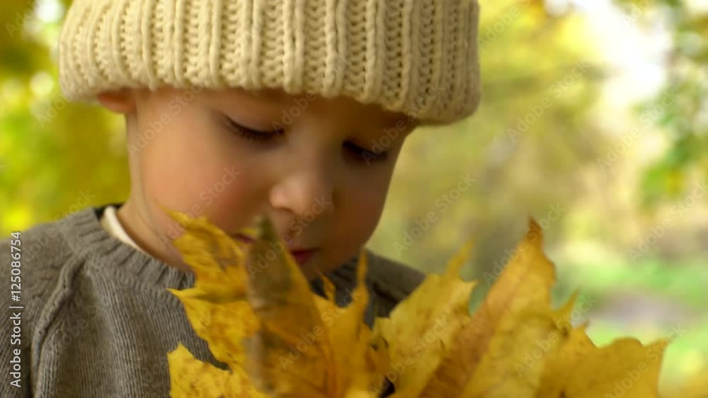 Little boy smiling with maple leaves in his hand in autumn forest wearing knitted hat Little boy smiling with maple leaves in his hand in autumn forest wearing knitted hat