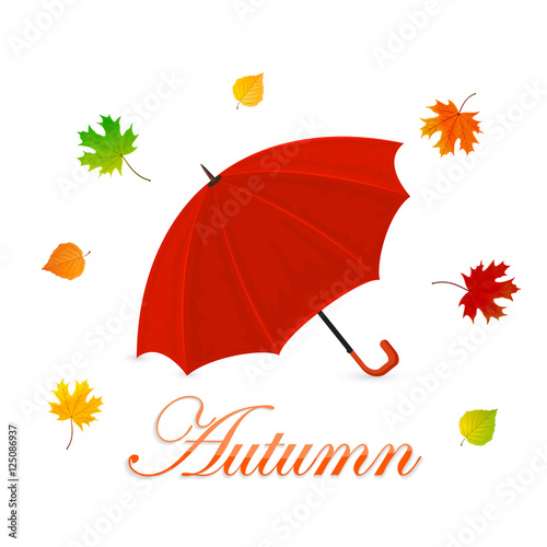 Red umbrella and autumn leaves