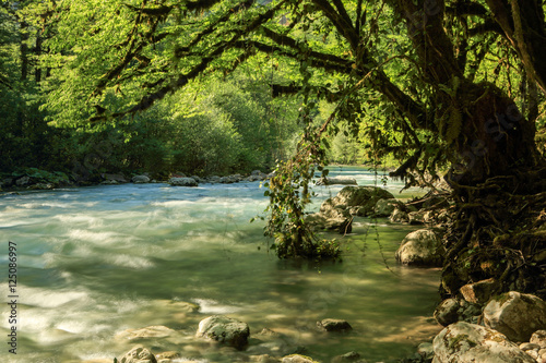 Aapsta mountain river, Abkhazia photo