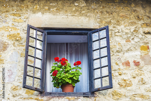 Fototapeta Naklejka Na Ścianę i Meble -  Old window with flower pot in Spain