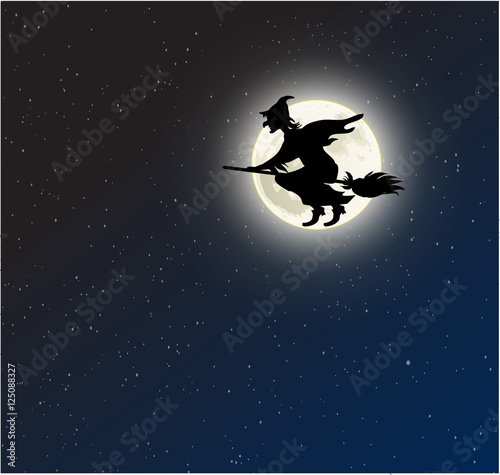 Witch on a broomstick full moon vector