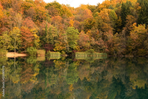 Fototapeta Naklejka Na Ścianę i Meble -  エメラルドグリーンの湖に反射する紅葉がすばらしいプリトヴィッツェ国立公園
湖の色と木々の紅葉に圧倒された。