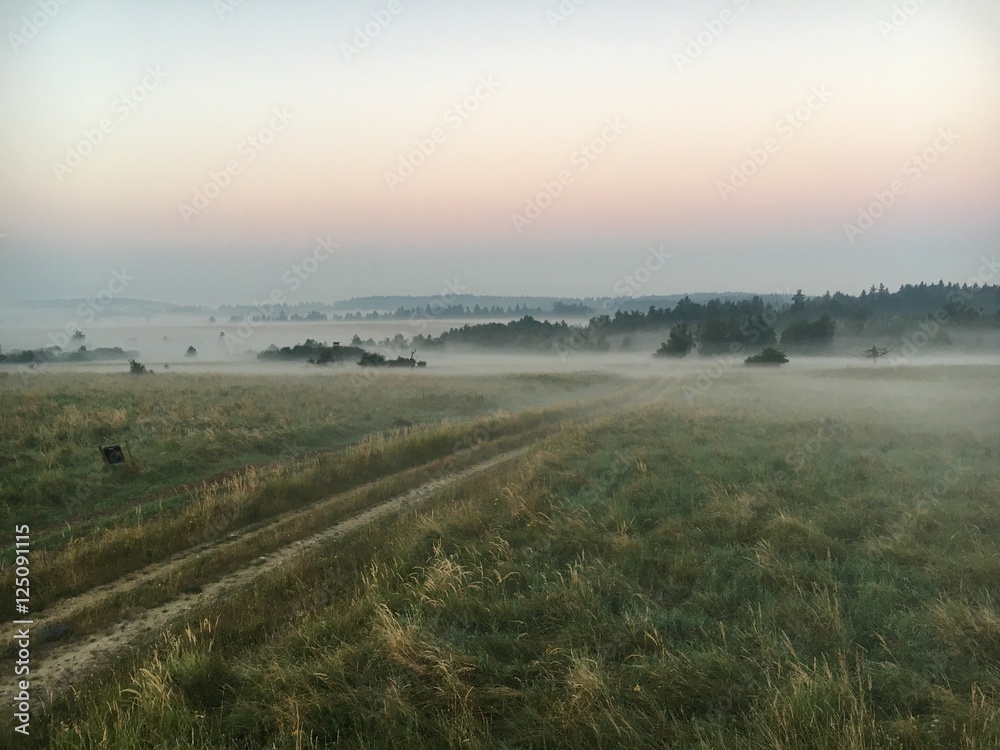 Morgendämmerung Nebelstimmung