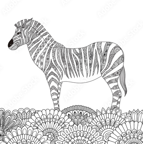 Zebra zentangle stylized for T- Shirt design, sign, poster, coloring book for adult and design element