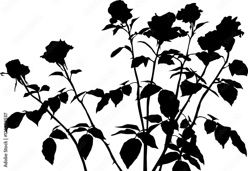 seven black roses bunch silhouette isolated on white Stock Vector | Adobe  Stock