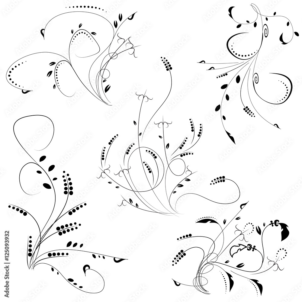 floral ornament elements collection isolated on white