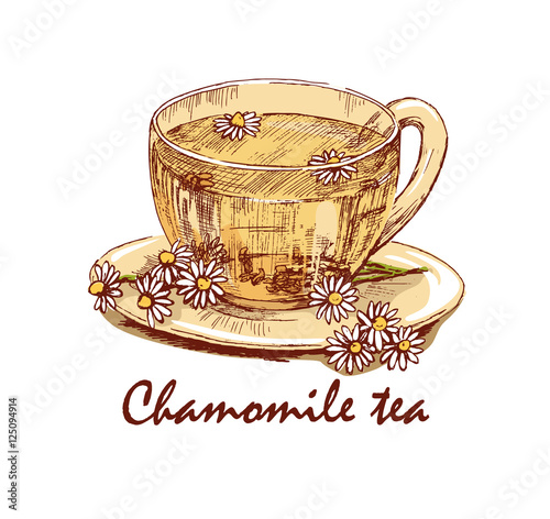 Colored hand drawn cup of chamomile tea. Cup of herbal tea and chamomile flowers on saucer. Hand drawn graphic illustration isolated on white background. Vector
