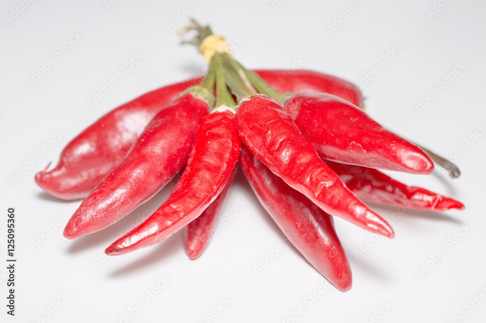 Red hot chili peppers tied isolated on white background Red hot chili peppers tied isolated on white background