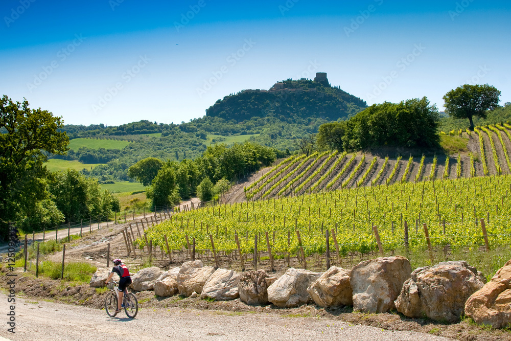Obraz premium Val d'Orcia, Siena, Tuscany, Italy - Excursion in Mountain Bike