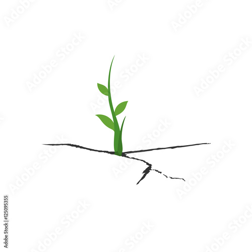 New life concept