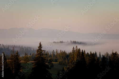Beautiful sunrise fog in mountains © sitriel