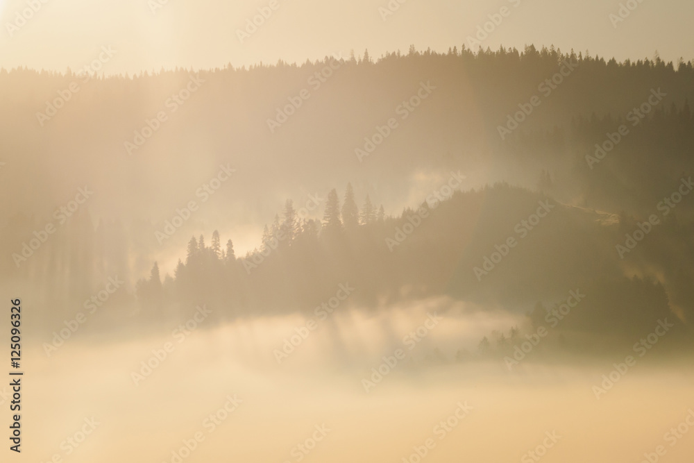 Beautiful sunrise fog in mountains