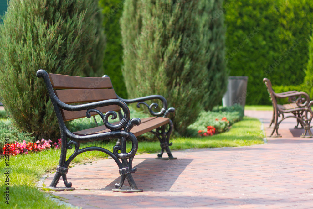 Empty stylish bench