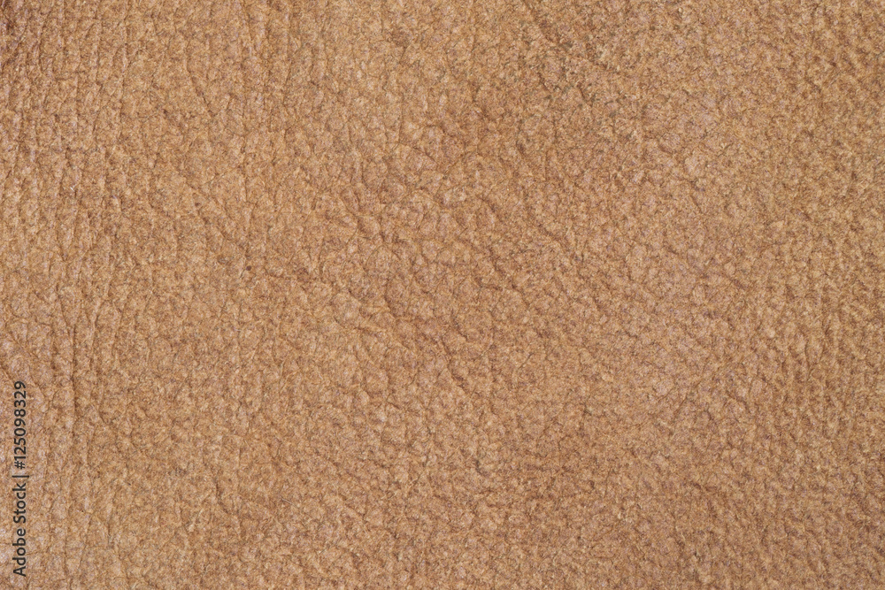soft texture of a natural light brown leather
soft texture of a natural light brown leather