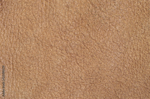 Wallpaper Mural soft texture of a natural light brown leather

 Torontodigital.ca