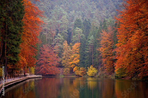 Fototapeta Naklejka Na Ścianę i Meble -  Herbst in der Sächsischen Schweiz, Deutschland